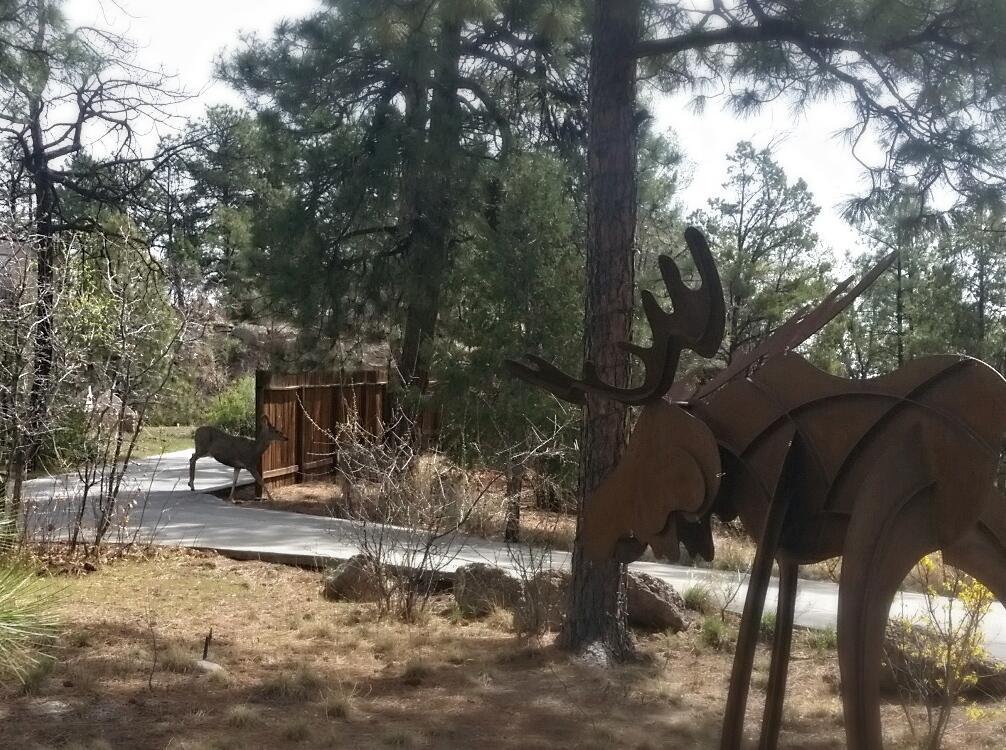 Pueblo Canyon Inn ลอสอลามอส ภายนอก รูปภาพ